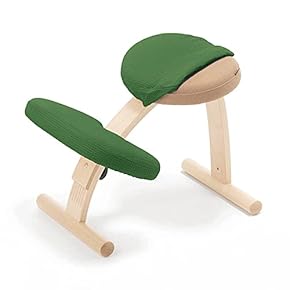 サカモト バランスチェア　カバー付き サカモト バランスチェア カバー付き Amazon.co.jp: Balance